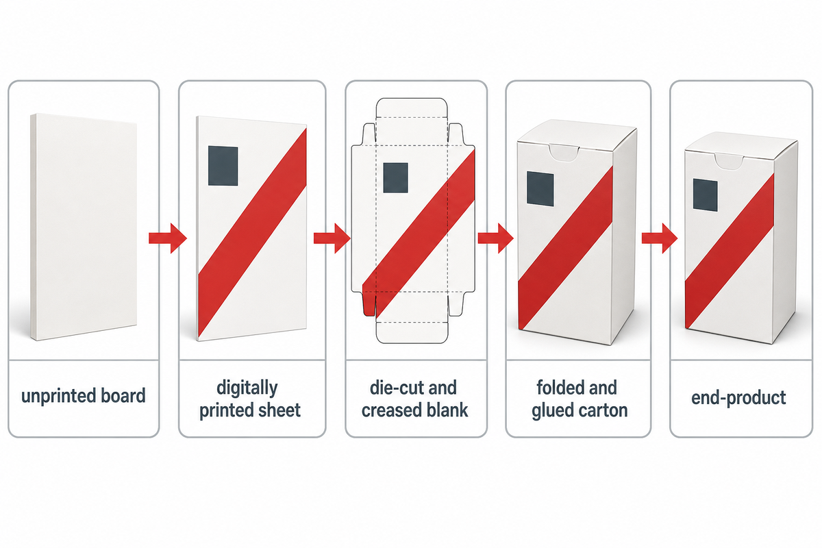 Five material states from unprinted board through printed sheet and die-cut blank to folded and glued carton